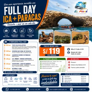 Full Day Ica + Paracas desde Lima